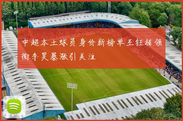 中超本土球员身价新榜单王钰栋领衔李昊暴涨引关注